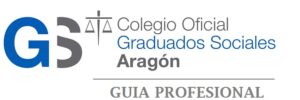 Logo COGSA Guia Prof.